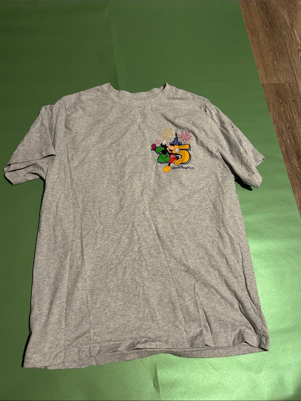 2025 Disney T